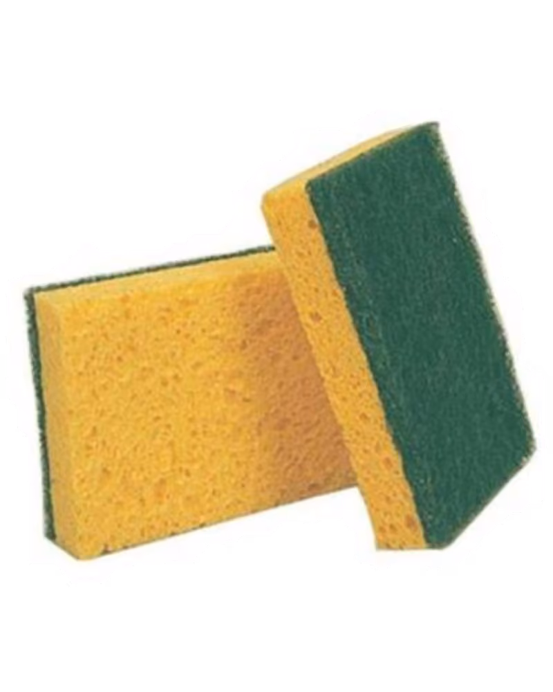 Éponge double face x2